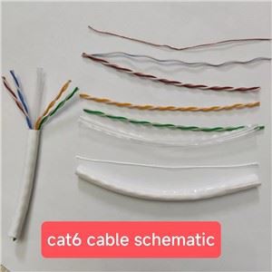 CAT6 Cabal